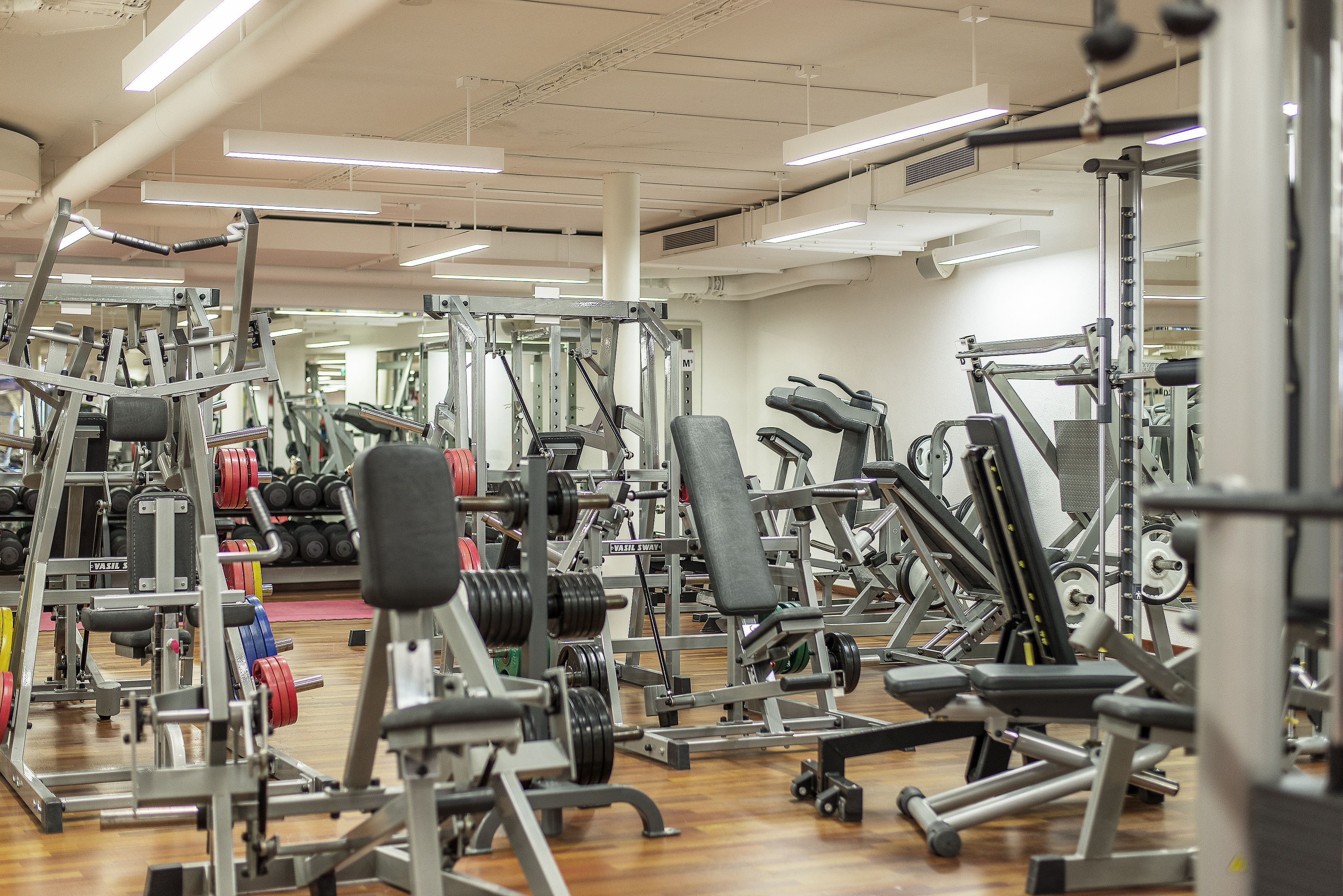 gym-3675225