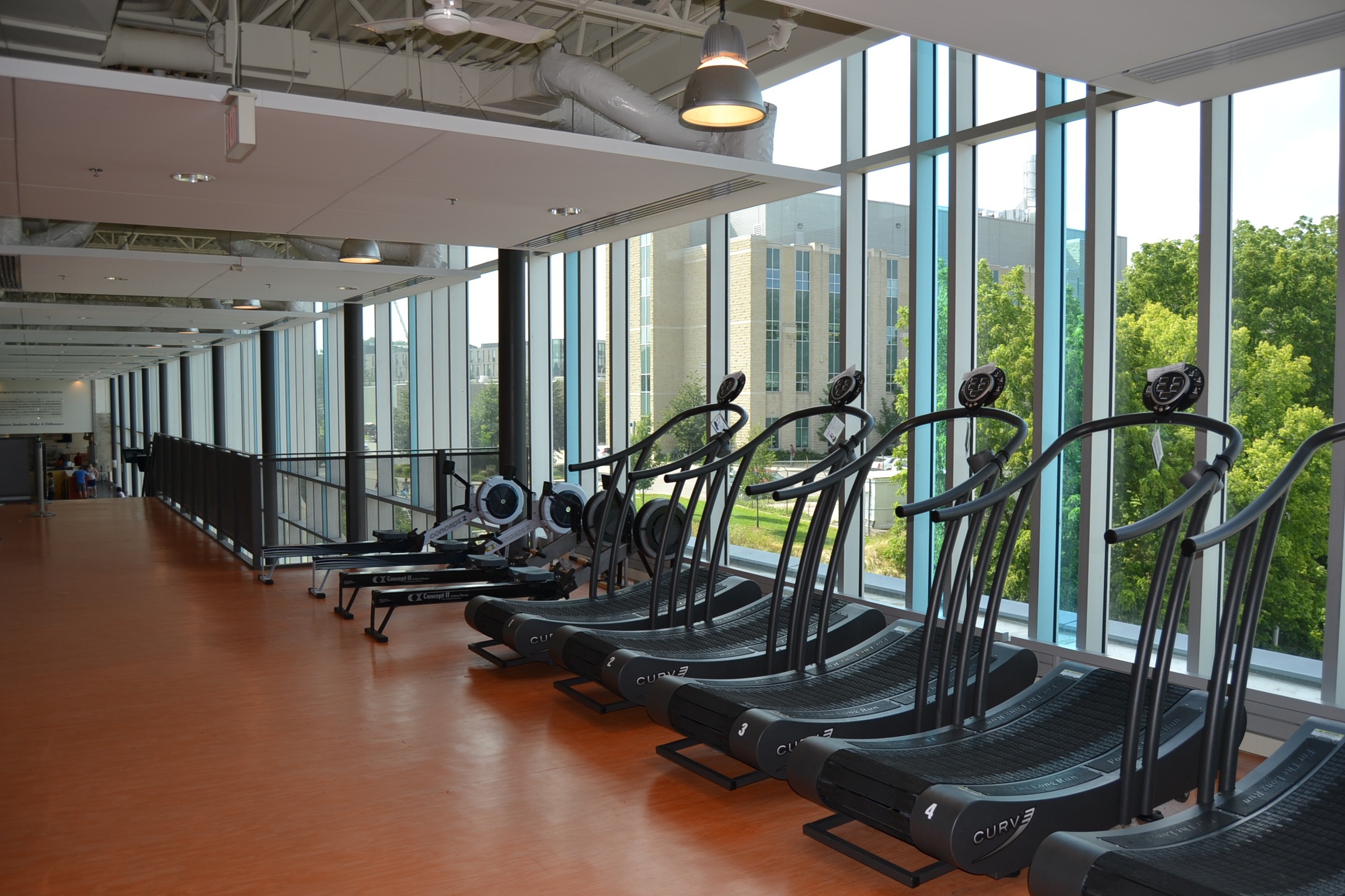 gym-526995